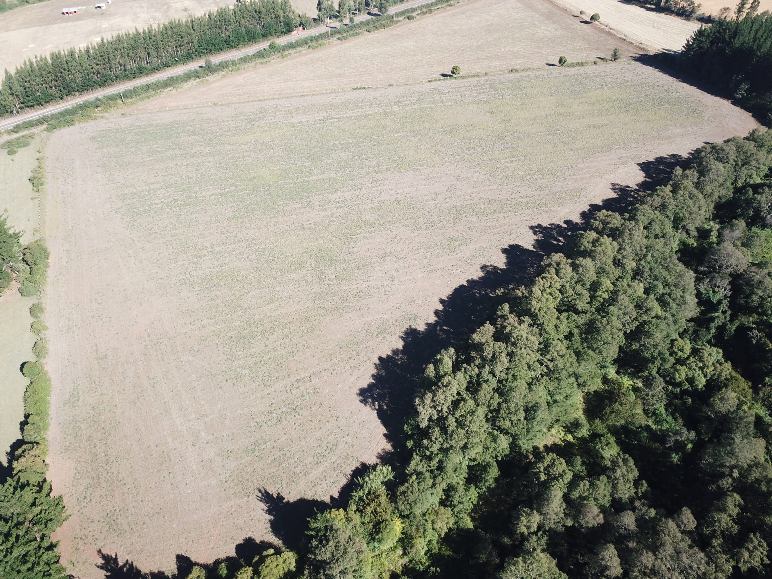 dcim100mediadji 0551.jpg